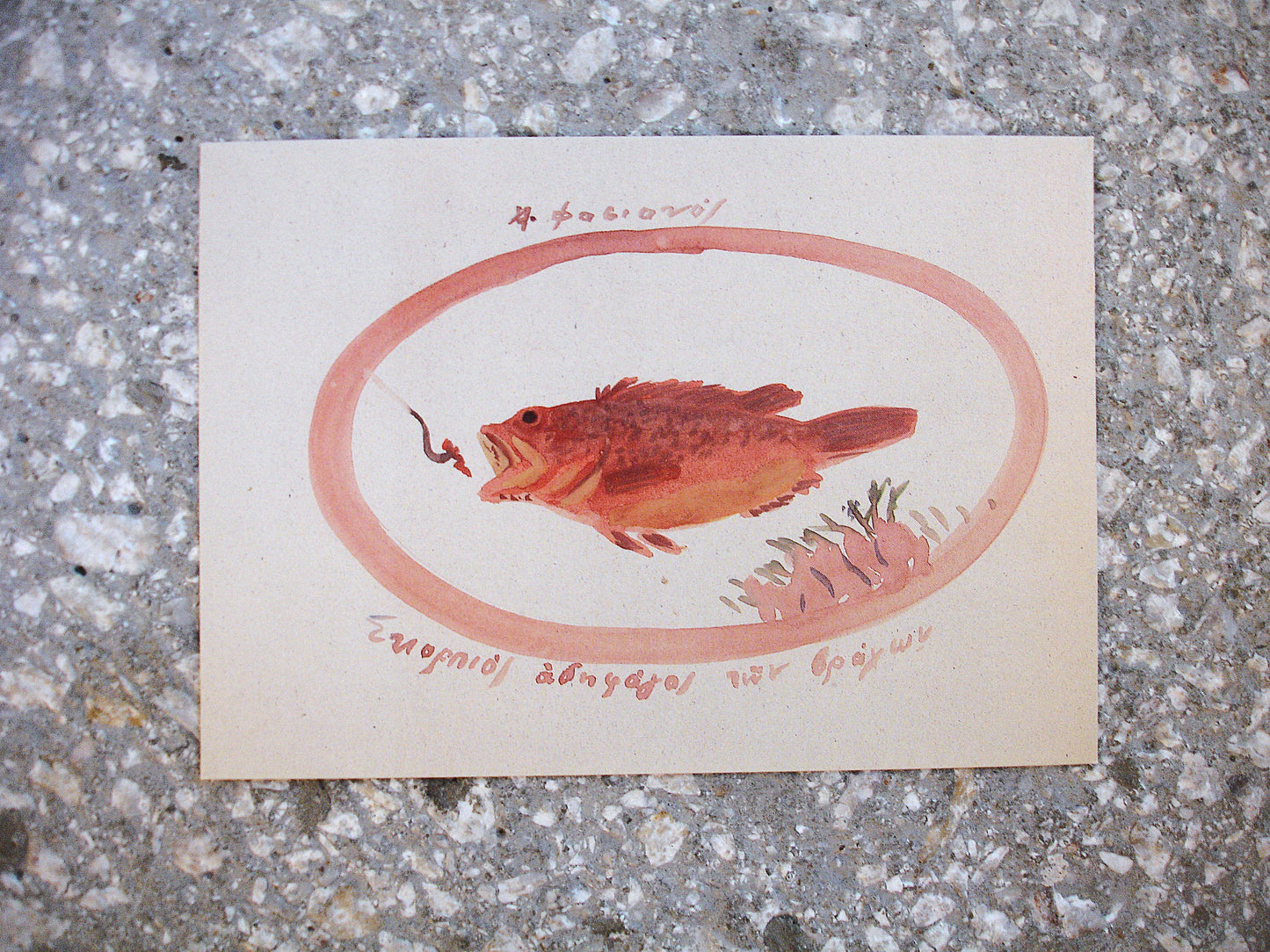 Rare postcards - 'Fish of Kea'