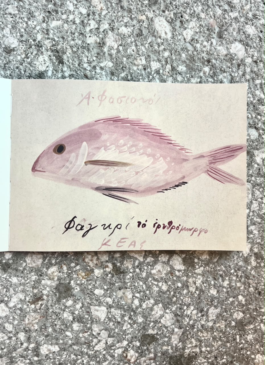 'Fish of Kea' - Rare catalogue