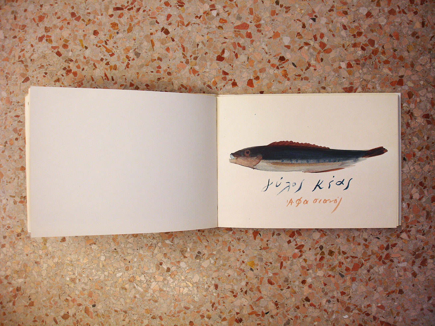'Fish of Kea' - Rare catalogue