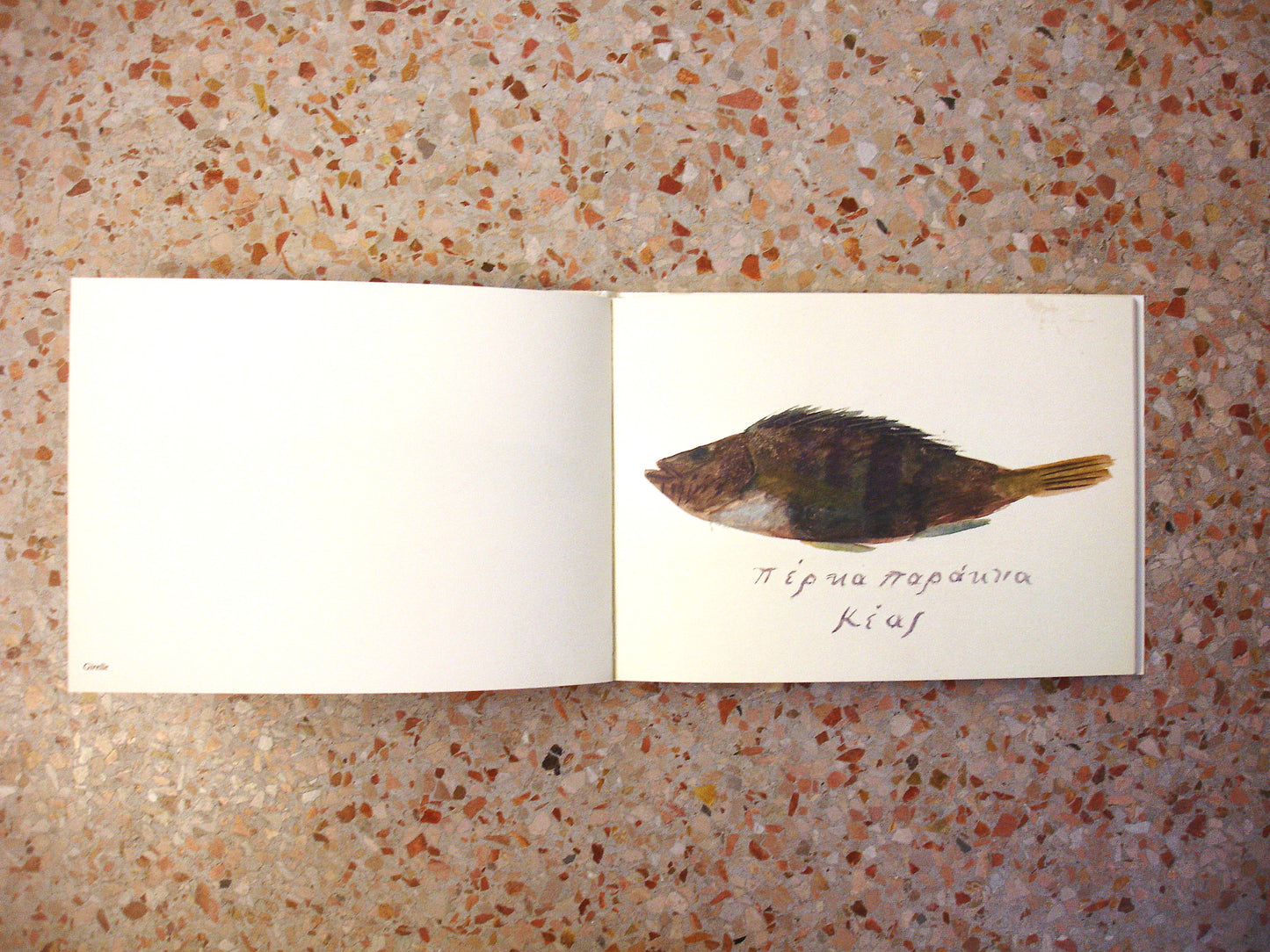 'Fish of Kea' - Rare catalogue