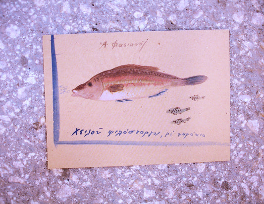 Rare postcards - 'Fish of Kea'