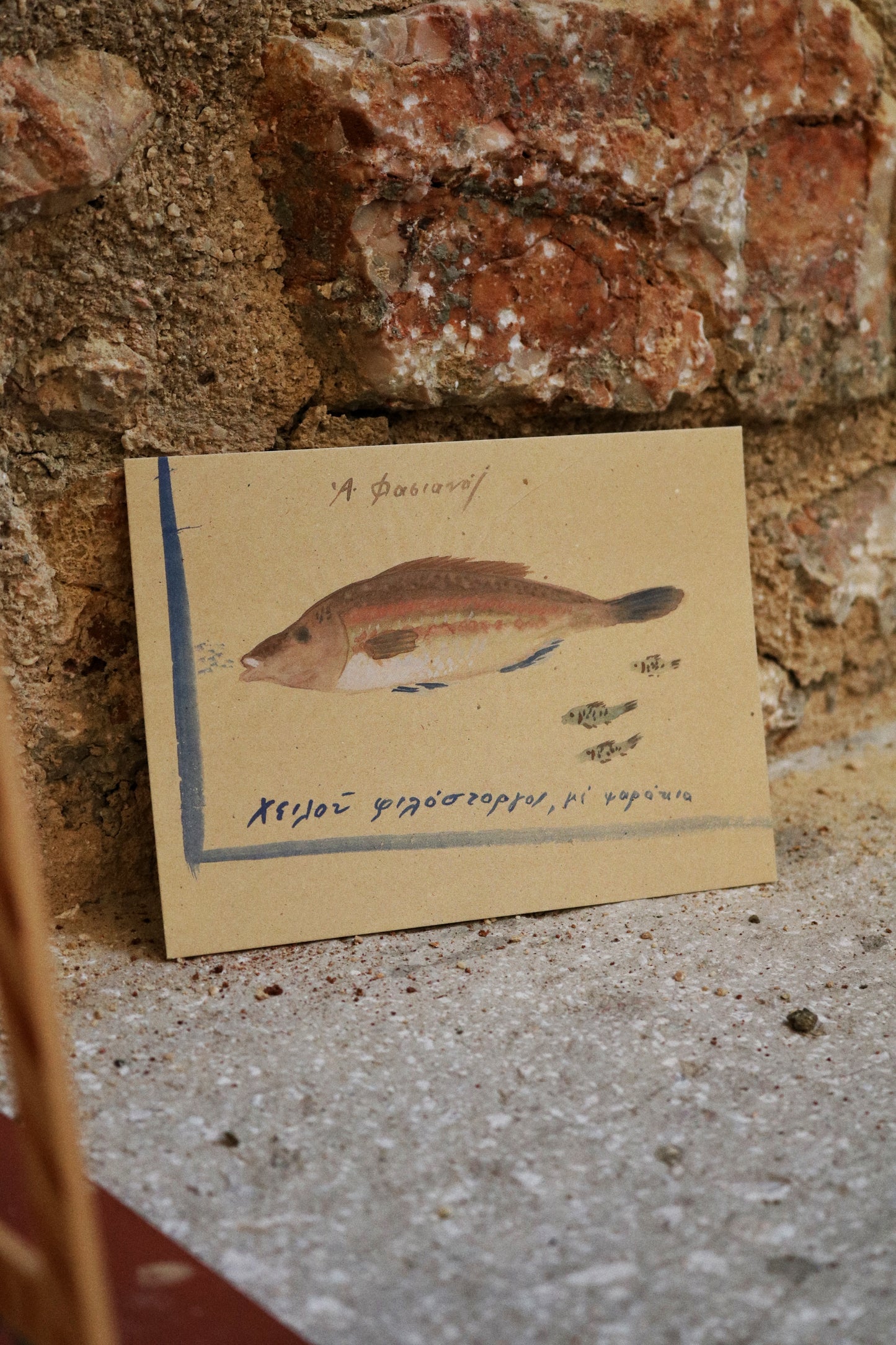 Rare postcards - 'Fish of Kea'