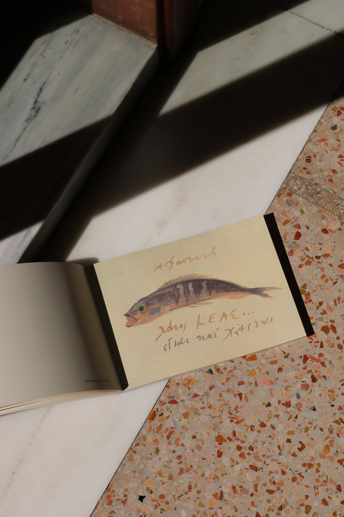 'Fish of Kea' - Rare catalogue