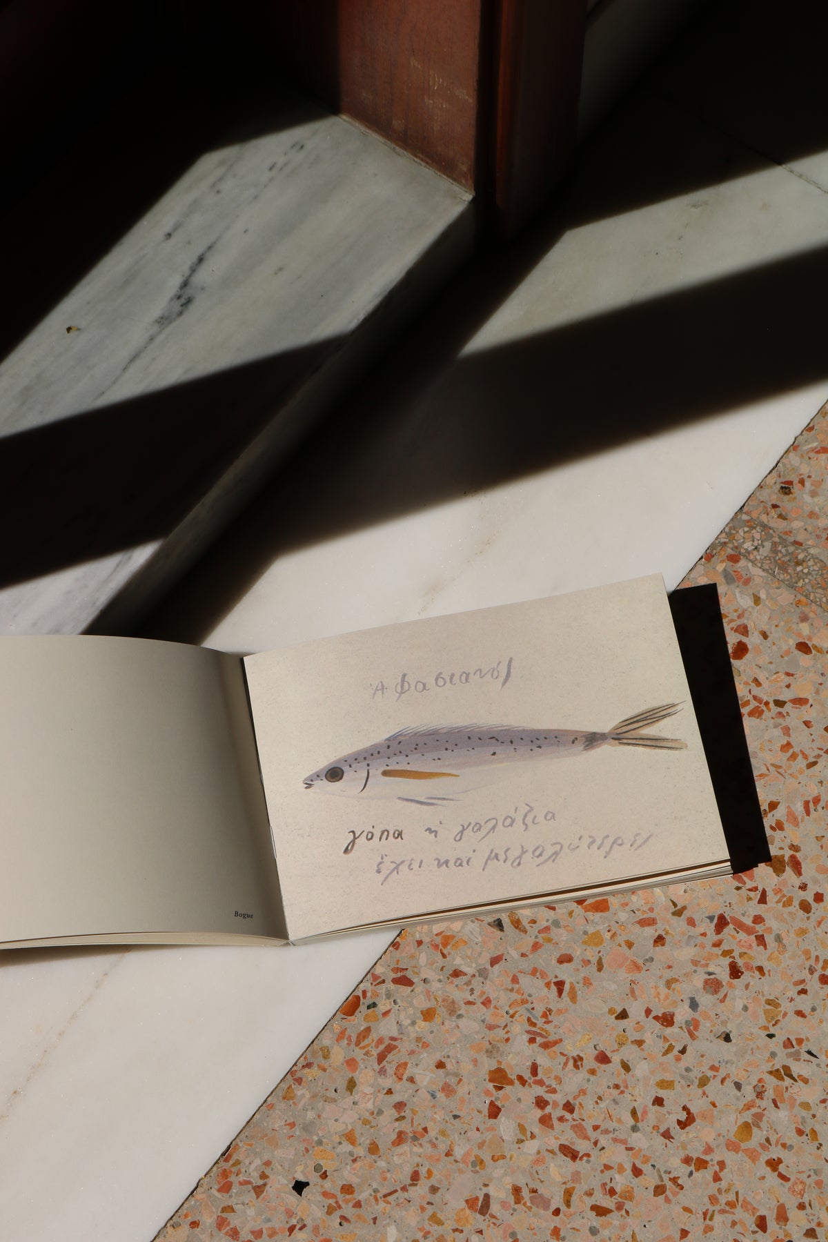 'Fish of Kea' - Rare catalogue